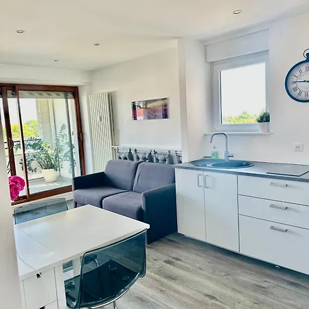 3 Pieces 75 M2 Pres Arret Tram * Strasbourg